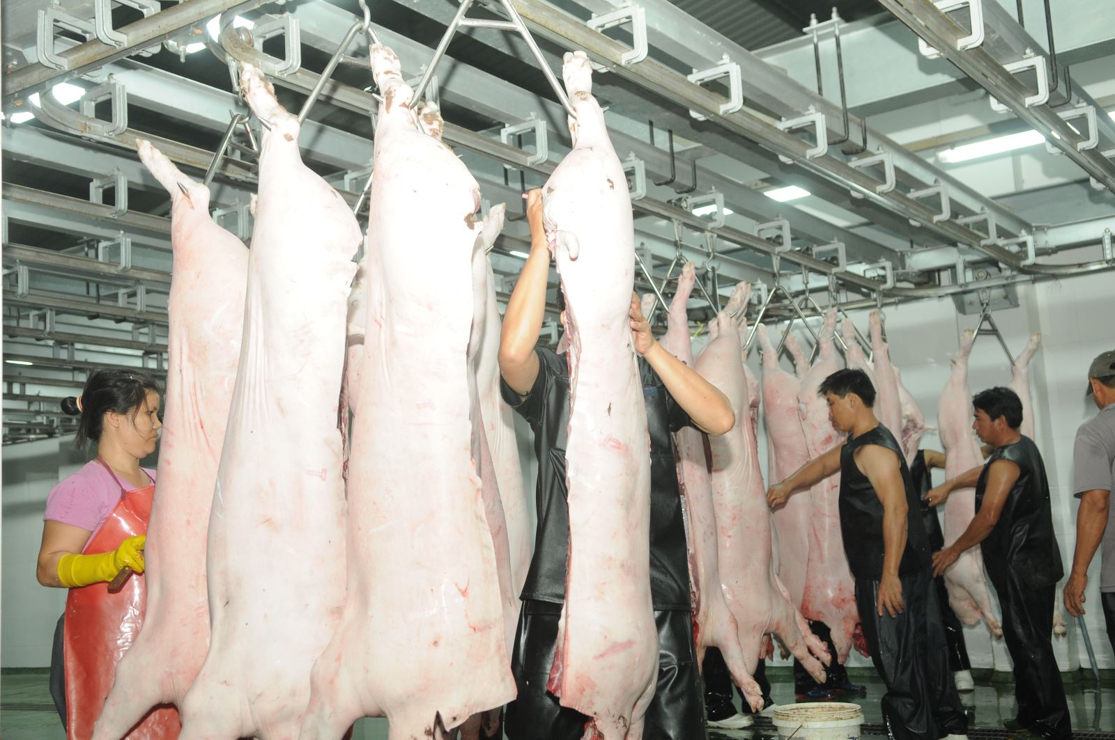  Người tiêu dùng ưu tiên chọn các thực phẩm khác vì giá thịt lợn tăng cao